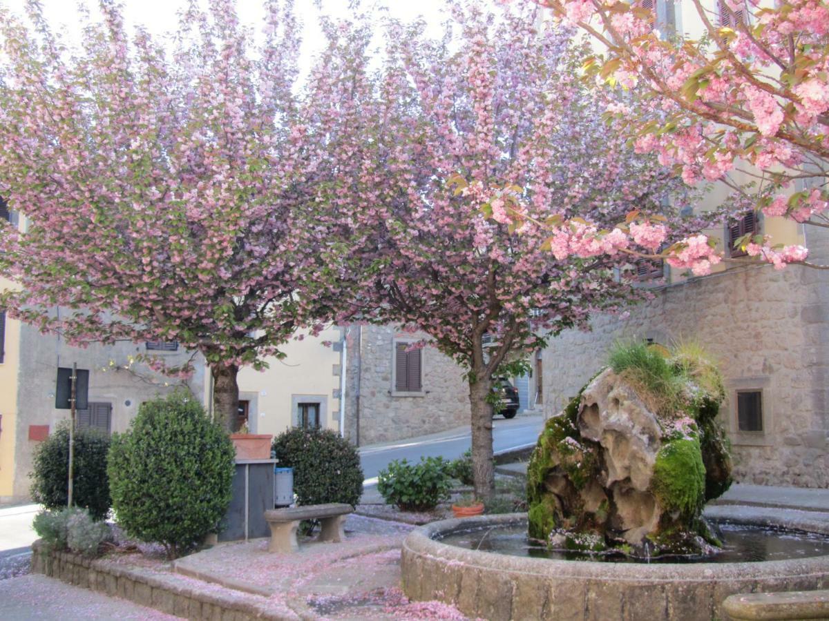 Appartamento Casa Giuly Vivo dʼOrcia Esterno foto